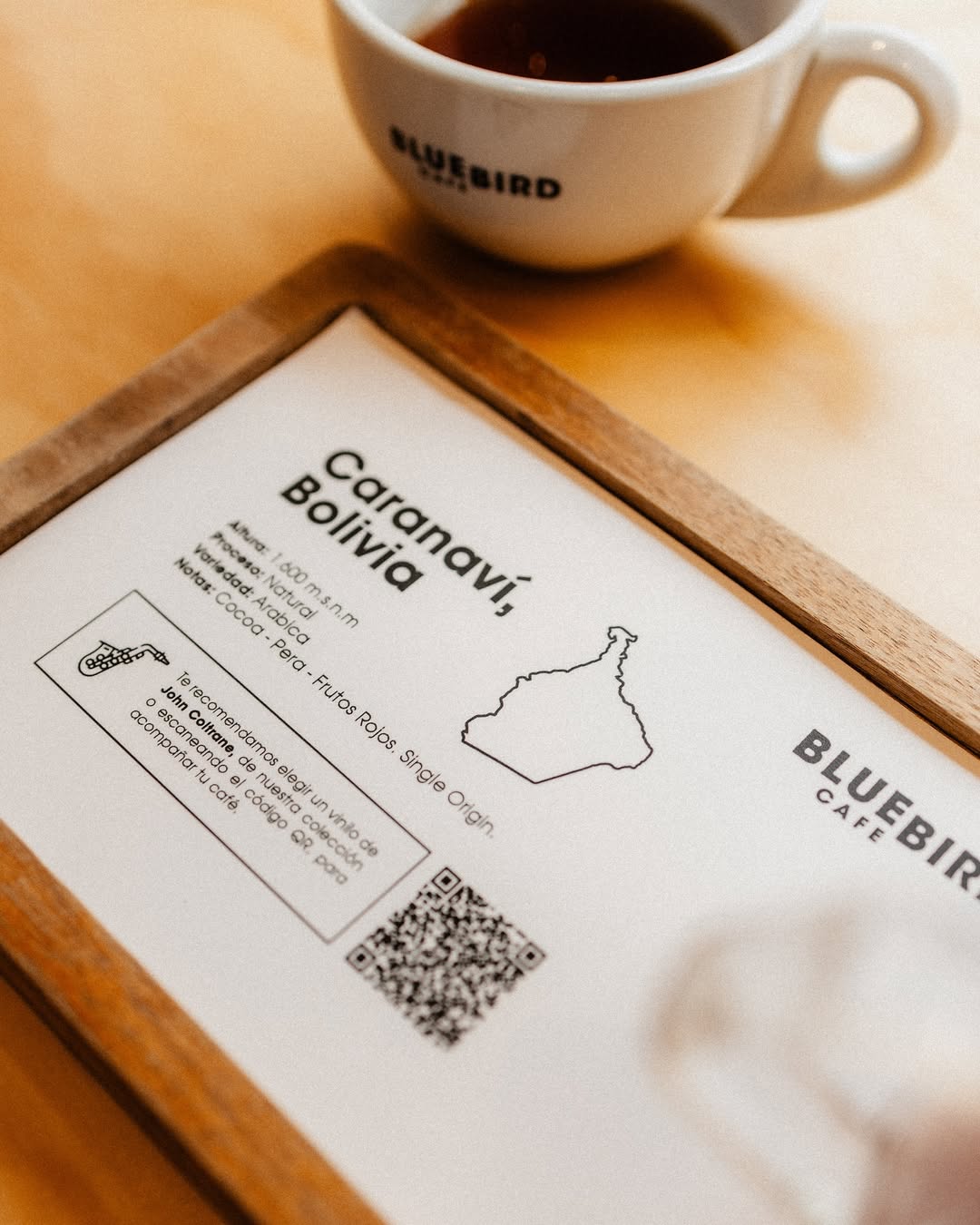 Bluebird Café — papel de origen Caranaví, Bolivia