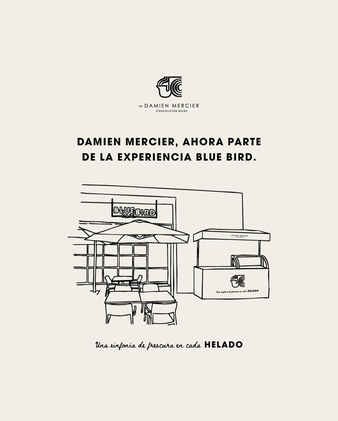 Bluebird Café — ilustración Damien Mercier