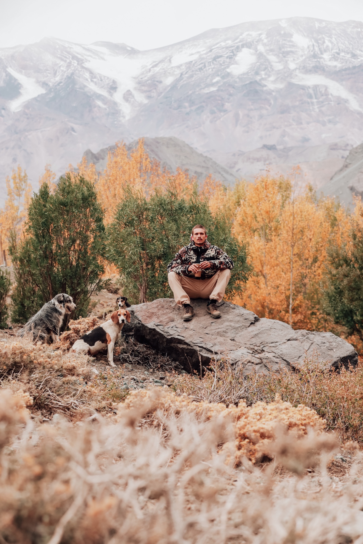 Kaya Unite — retrato en montaña con perros